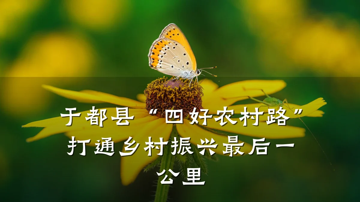 于都县“四好农村路”打通乡村振兴最后一公里