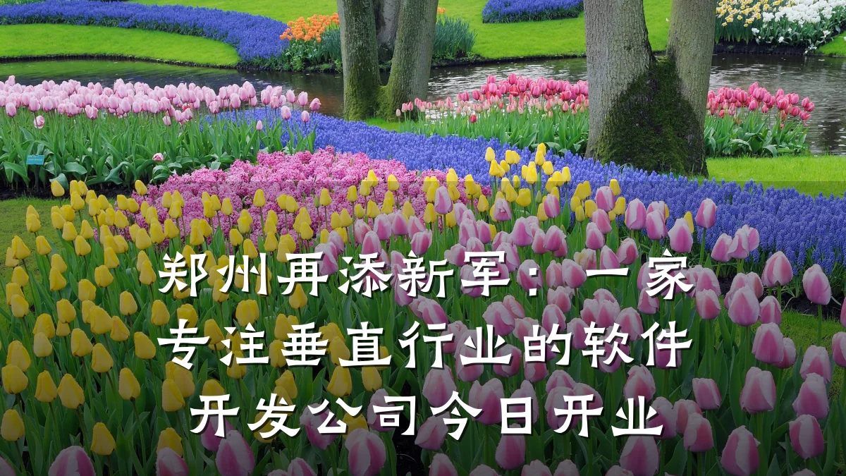 郑州再添新军:一家专注垂直行业的软件开发公司今日开业