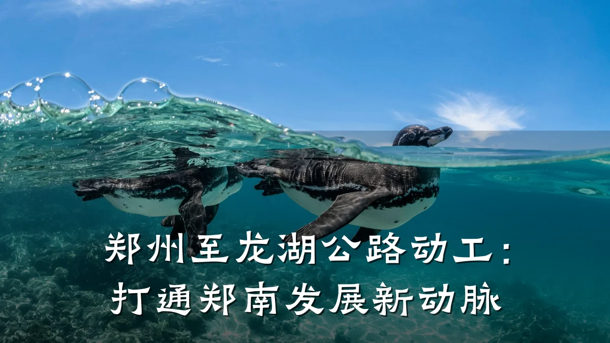 郑州至龙湖公路动工:打通郑南发展新动脉
