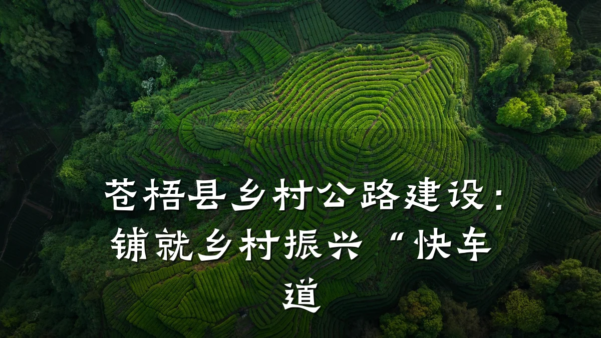 苍梧县乡村公路建设:铺就乡村振兴“快车道