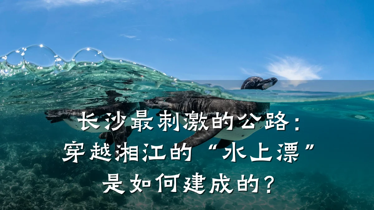 长沙最刺激的公路：穿越湘江的“水上漂”是如何建成的？