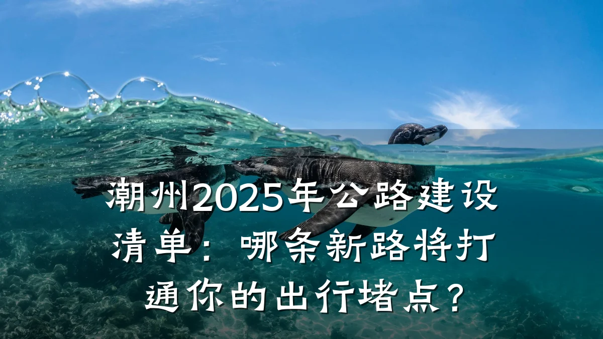 潮州2025年公路建设清单:哪条新路将打通你的出行堵点?