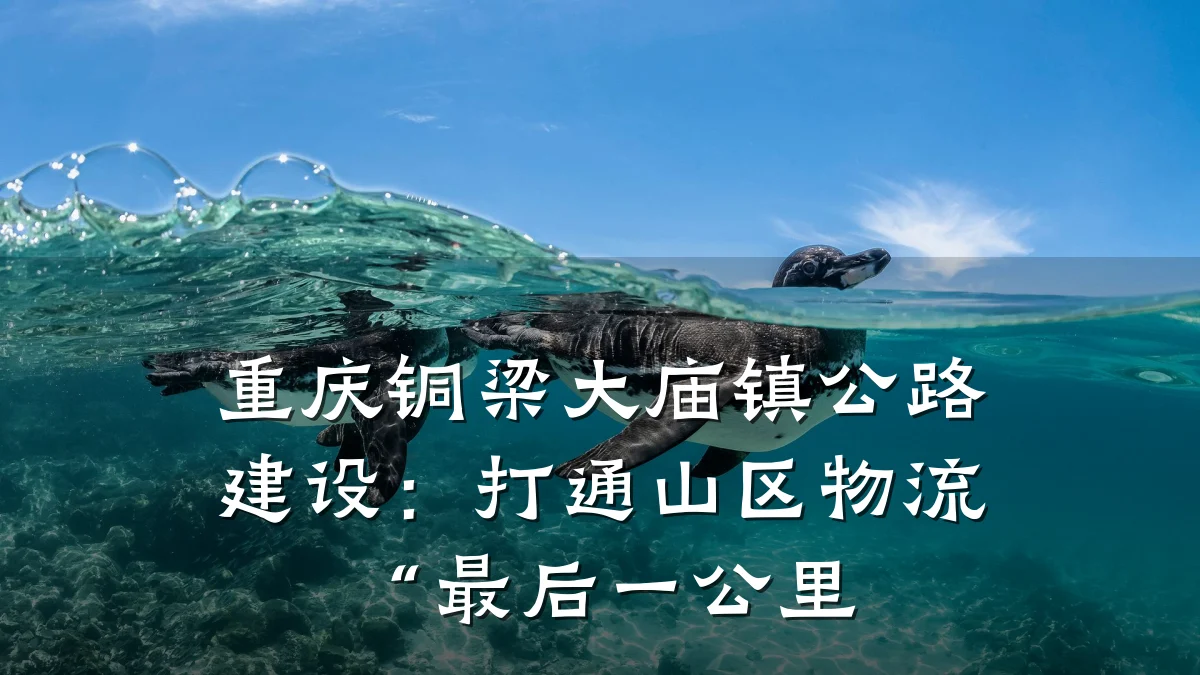 重庆铜梁大庙镇公路建设:打通山区物流“最后一公里