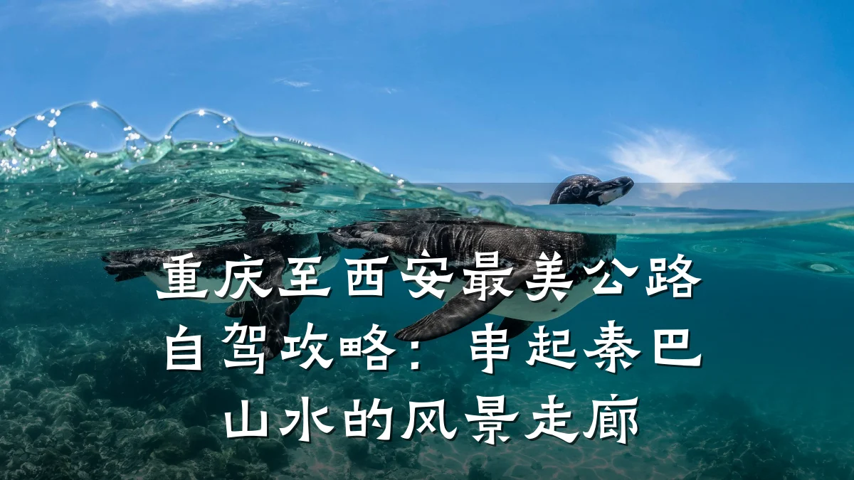 重庆至西安最美公路自驾攻略:串起秦巴山水的风景走廊