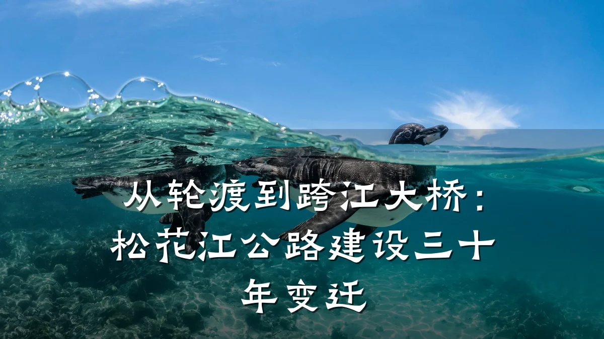 从轮渡到跨江大桥：松花江公路建设三十年变迁