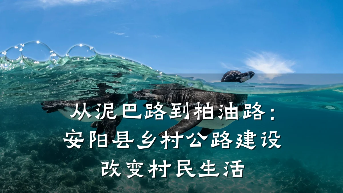 从泥巴路到柏油路：安阳县乡村公路建设改变村民生活