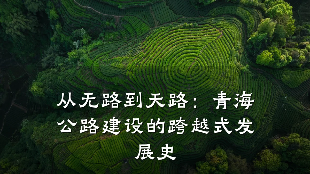 从无路到天路:青海公路建设的跨越式发展史