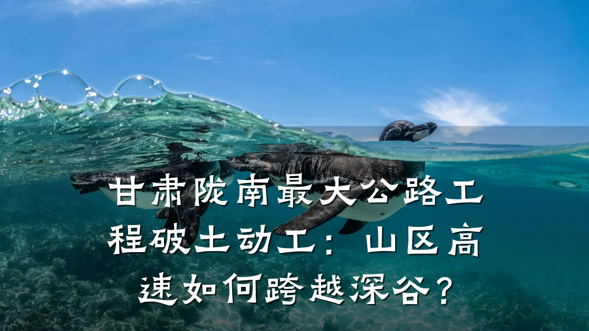 甘肃陇南最大公路工程破土动工：山区高速如何跨越深谷？