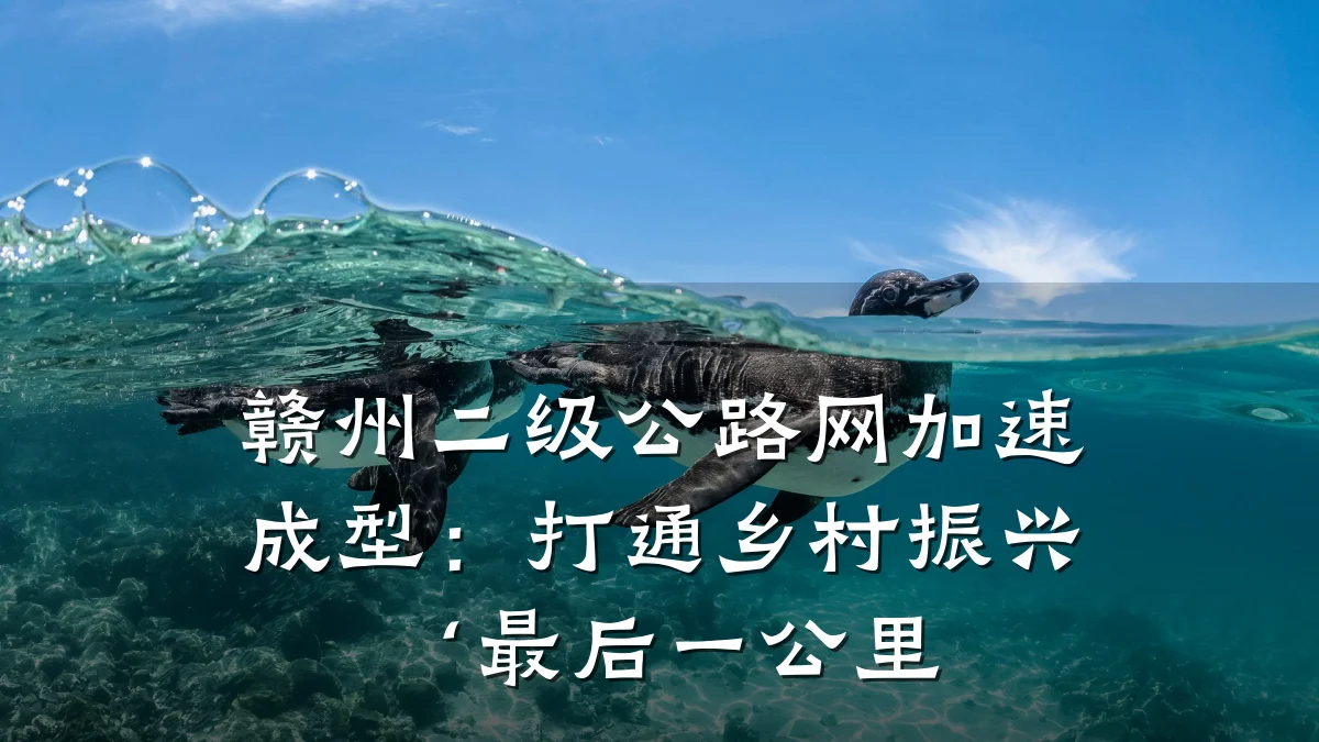 赣州二级公路网加速成型:打通乡村振兴‘最后一公里