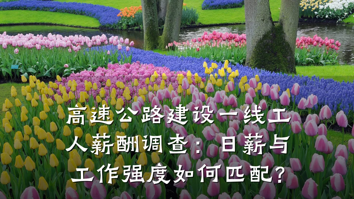 高速公路建设一线工人薪酬调查：日薪与工作强度如何匹配？