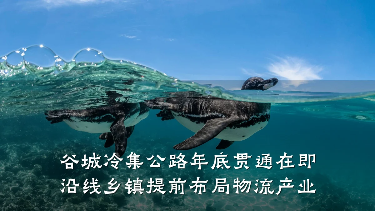 谷城冷集公路年底贯通在即 沿线乡镇提前布局物流产业