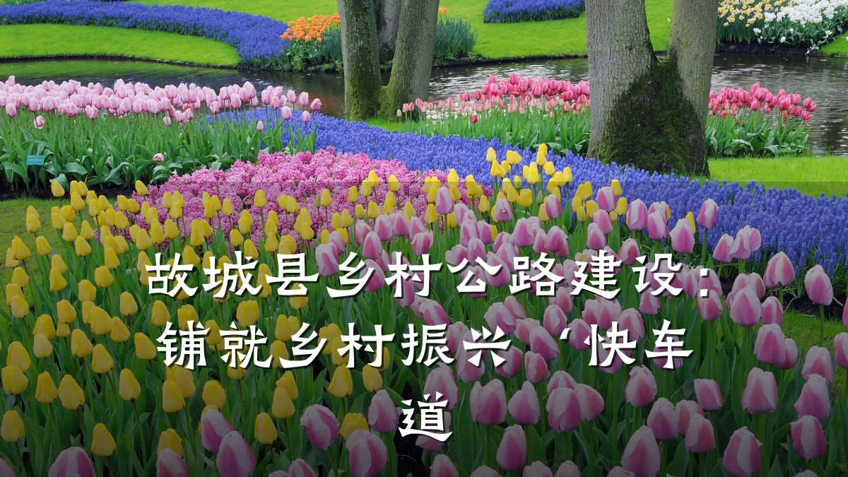 故城县乡村公路建设:铺就乡村振兴‘快车道