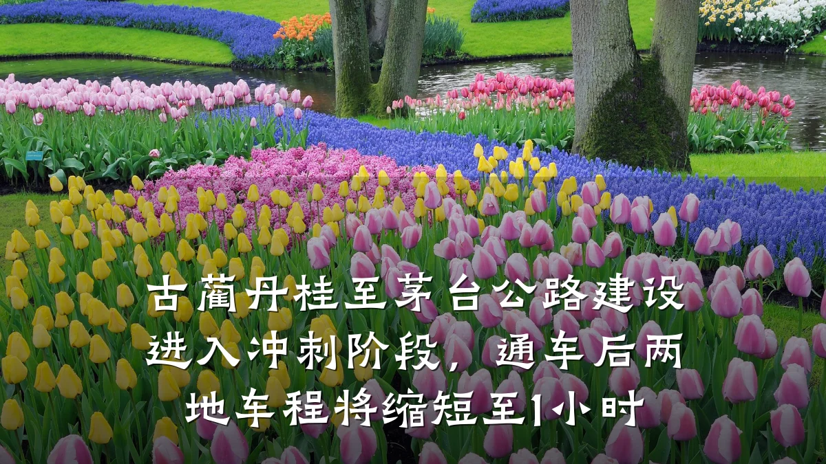 古蔺丹桂至茅台公路建设进入冲刺阶段,通车后两地车程将缩短至1小时