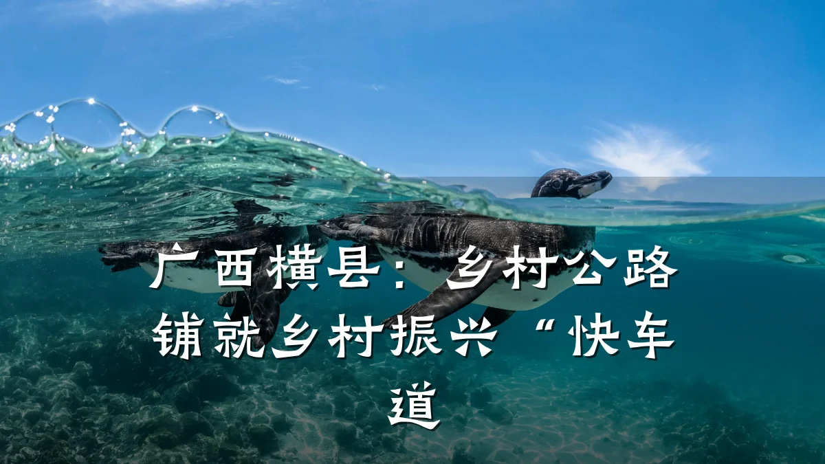 广西横县:乡村公路铺就乡村振兴“快车道