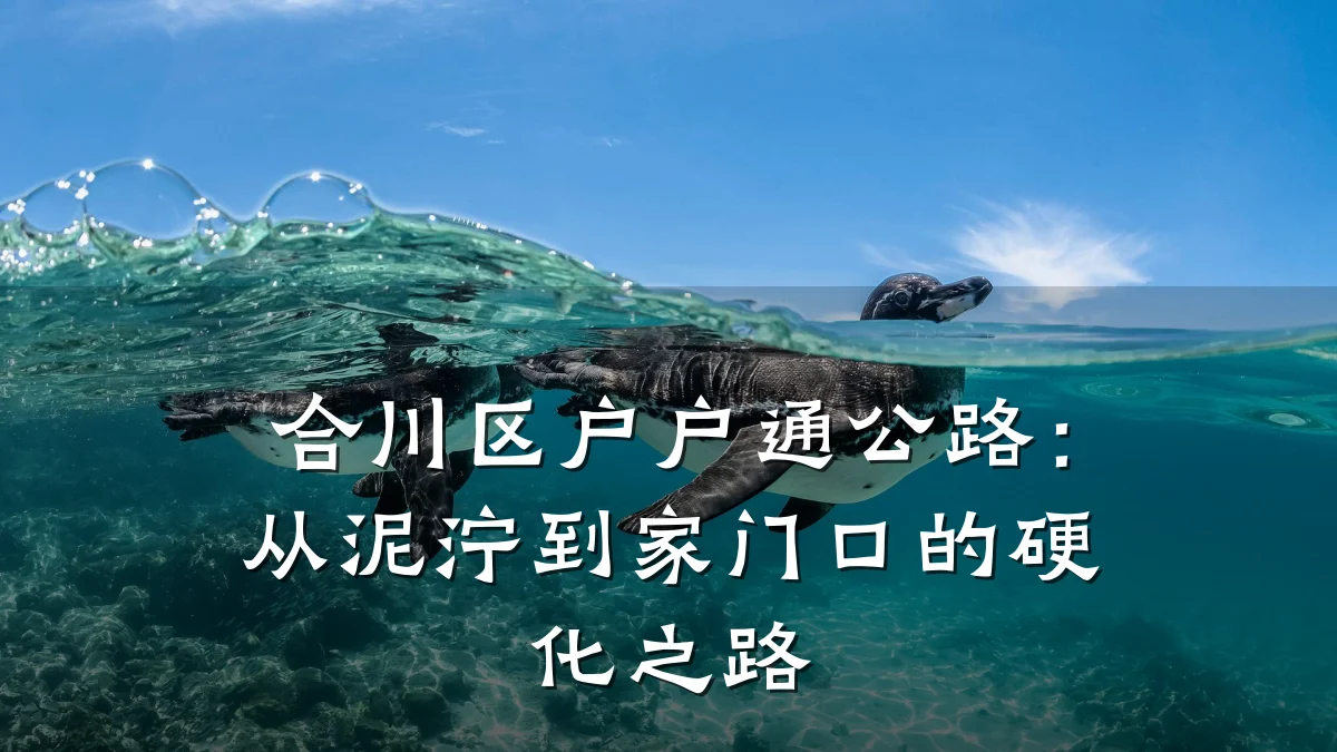 合川区户户通公路:从泥泞到家门口的硬化之路