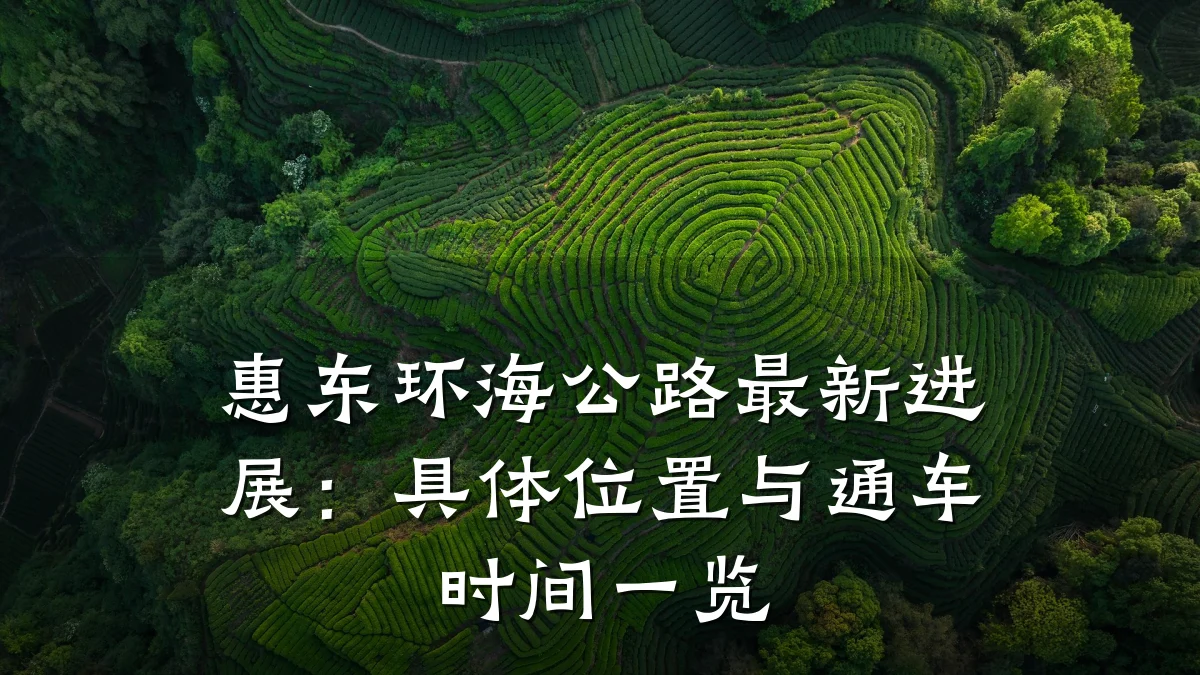 惠东环海公路最新进展:具体位置与通车时间一览