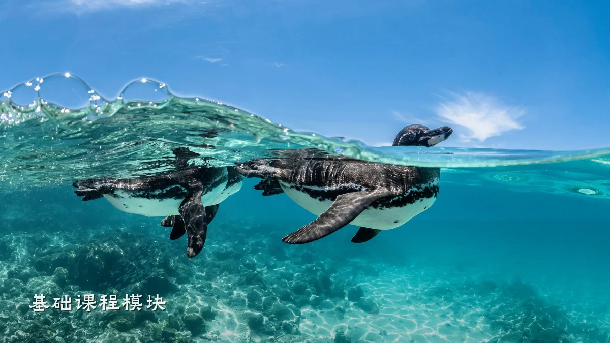 基础课程模块