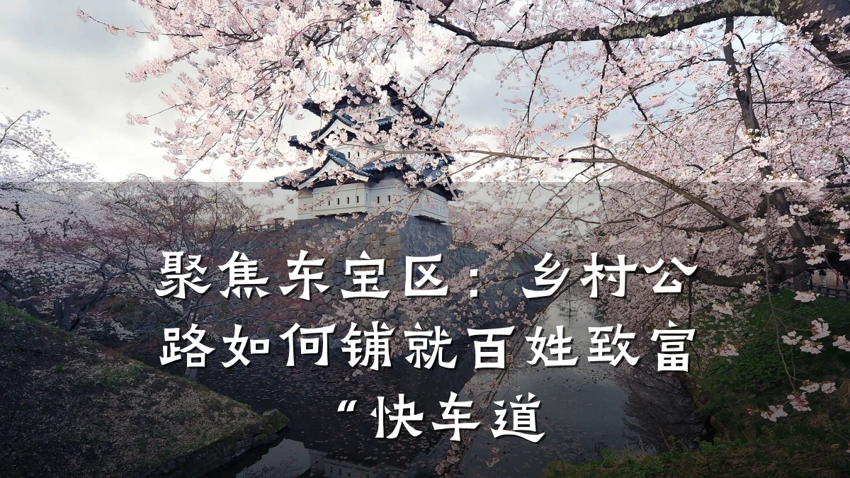 聚焦东宝区：乡村公路如何铺就百姓致富“快车道