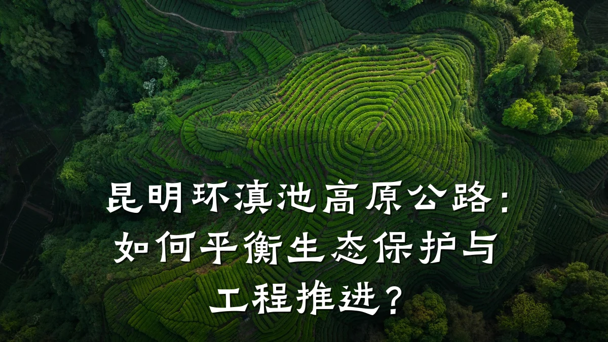 昆明环滇池高原公路：如何平衡生态保护与工程推进？