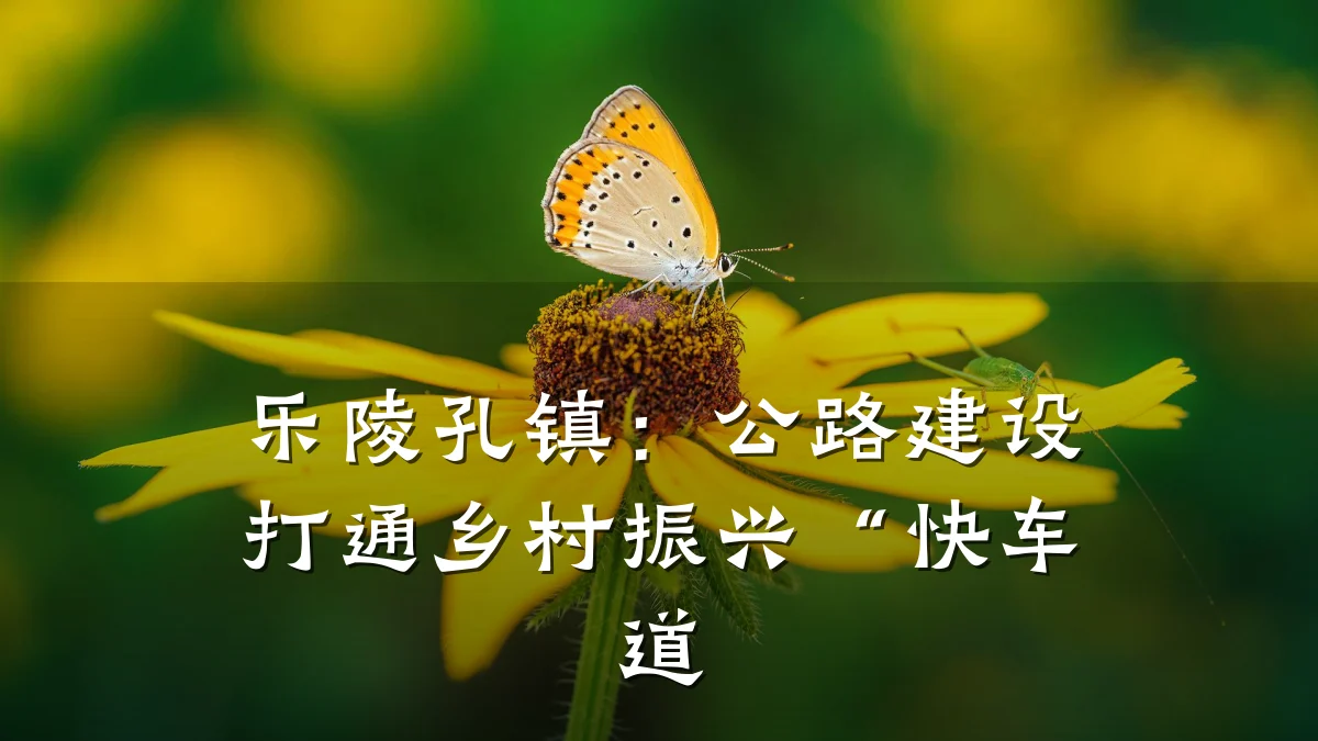 乐陵孔镇:公路建设打通乡村振兴“快车道