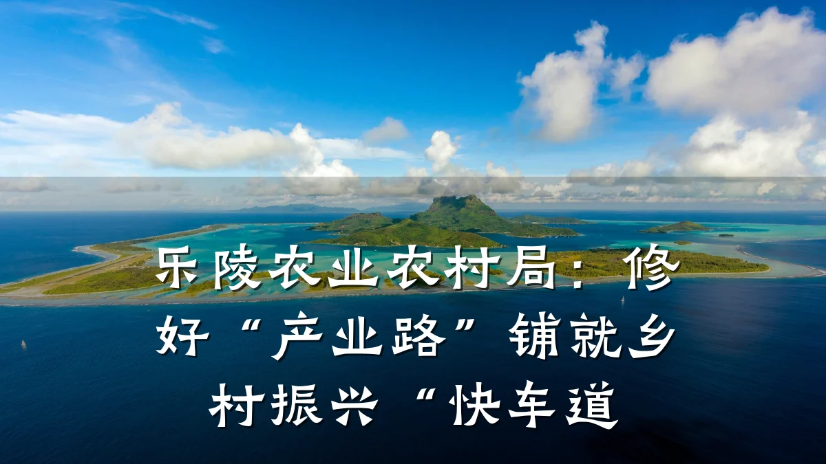 乐陵农业农村局:修好“产业路”铺就乡村振兴“快车道