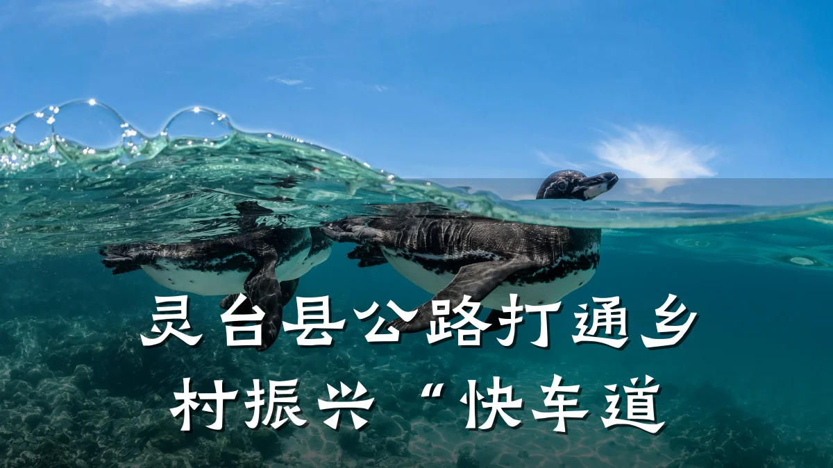灵台县公路打通乡村振兴“快车道