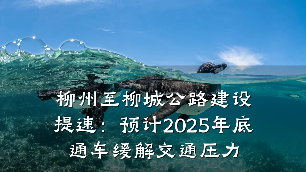 柳州至柳城公路建设提速:预计2025年底通车缓解交通压力