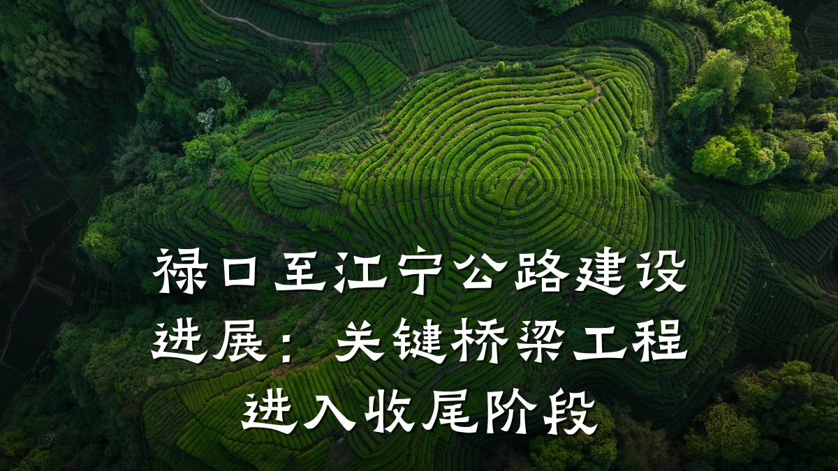 禄口至江宁公路建设进展:关键桥梁工程进入收尾阶段