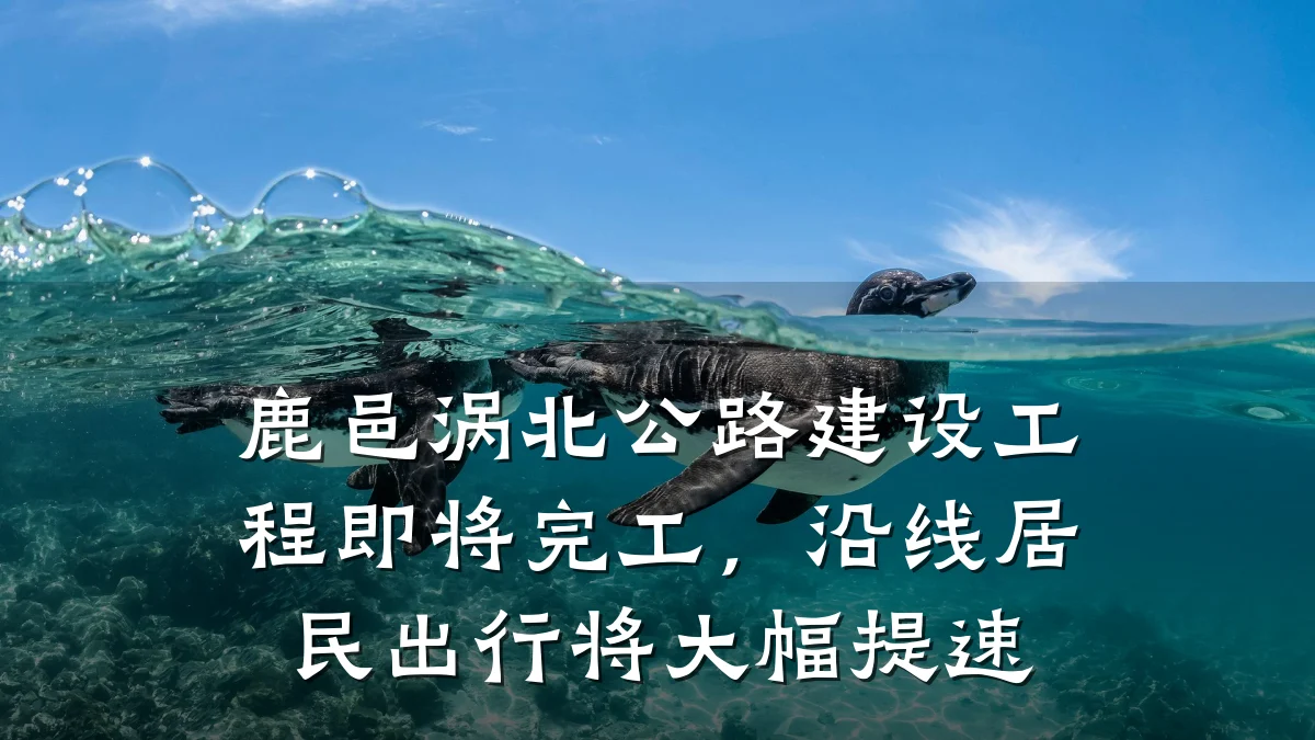 鹿邑涡北公路建设工程即将完工,沿线居民出行将大幅提速