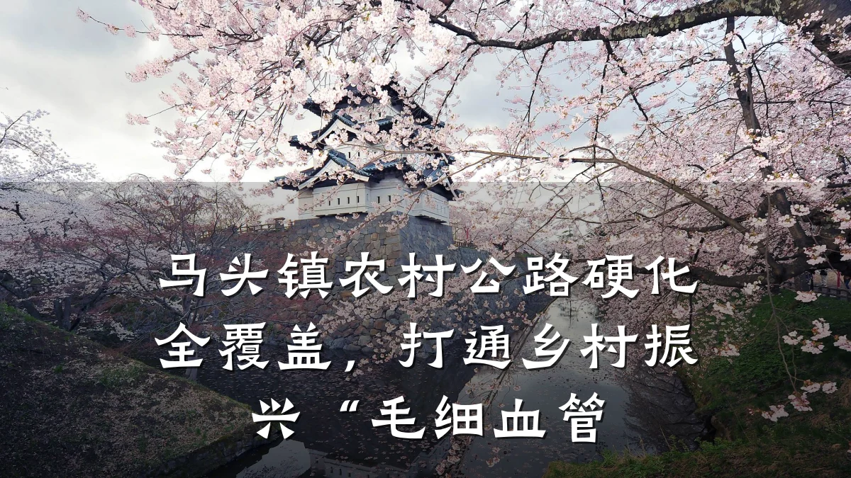 马头镇农村公路硬化全覆盖,打通乡村振兴“毛细血管