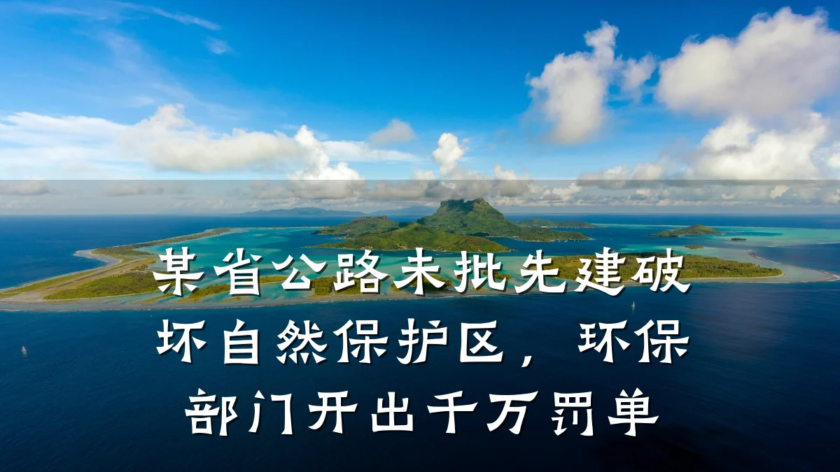 某省公路未批先建破坏自然保护区，环保部门开出千万罚单