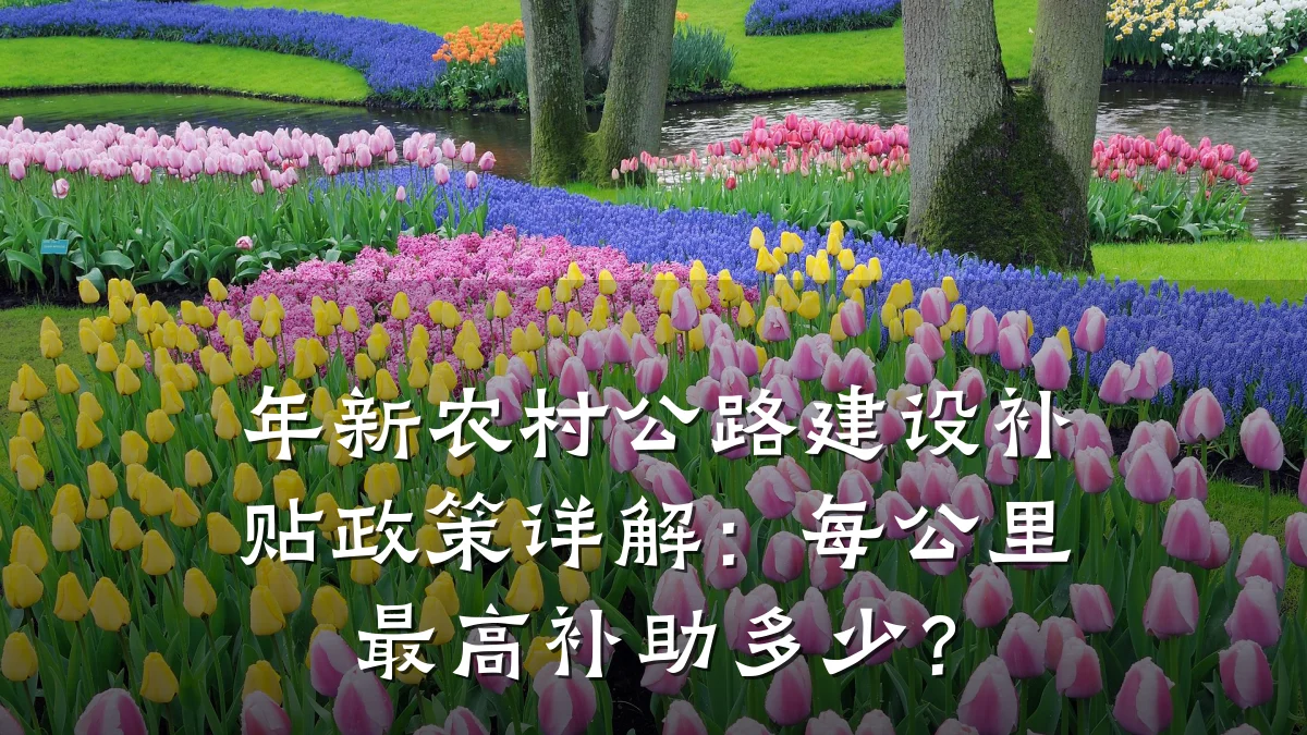 年新农村公路建设补贴政策详解:每公里最高补助多少?