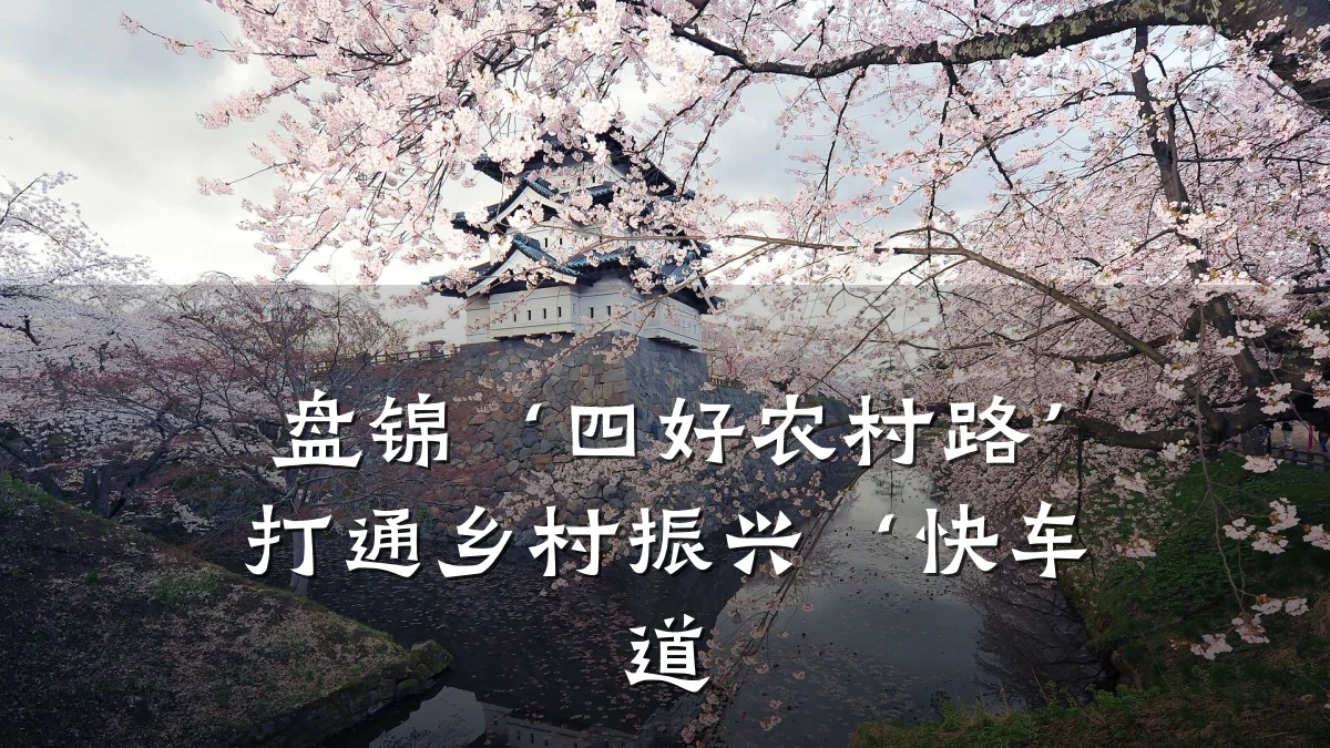 盘锦‘四好农村路’打通乡村振兴‘快车道