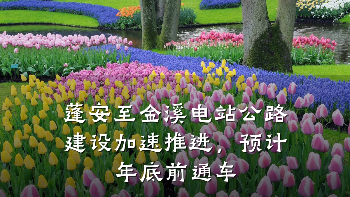 蓬安至金溪电站公路建设加速推进,预计年底前通车
