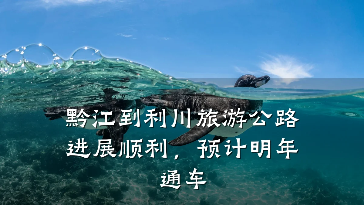 黔江到利川旅游公路进展顺利，预计明年通车