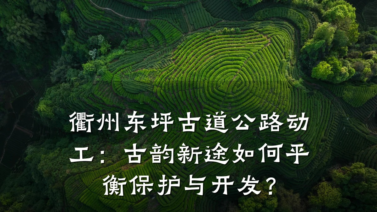 衢州东坪古道公路动工:古韵新途如何平衡保护与开发?