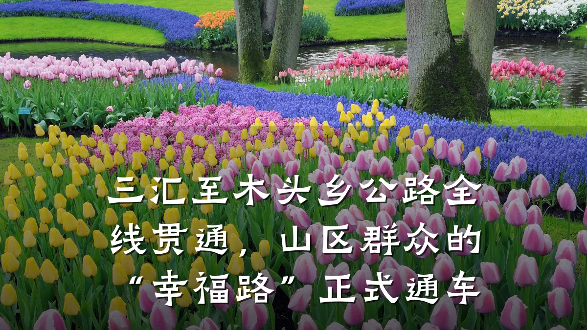 三汇至木头乡公路全线贯通,山区群众的“幸福路”正式通车