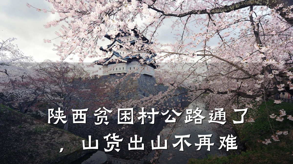 陕西贫困村公路通了,山货出山不再难