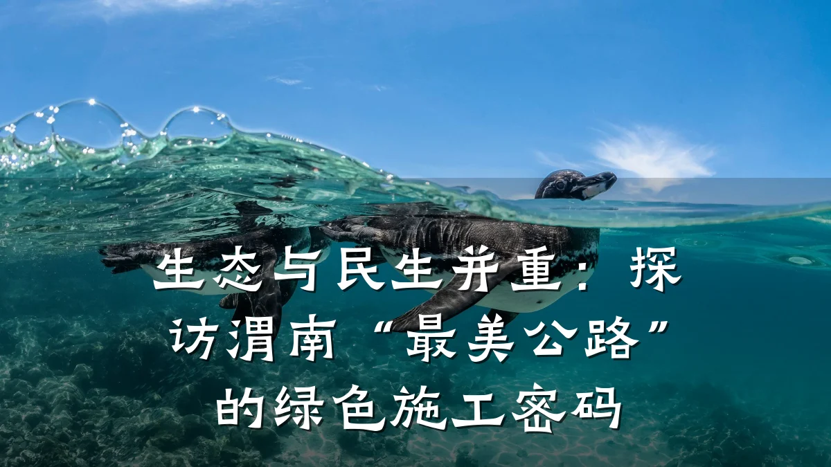生态与民生并重:探访渭南“最美公路”的绿色施工密码