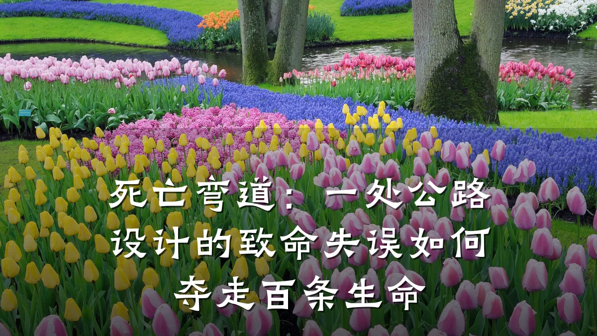 死亡弯道：一处公路设计的致命失误如何夺走百条生命