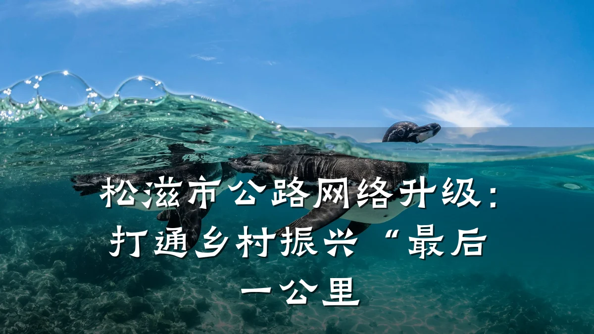 松滋市公路网络升级:打通乡村振兴“最后一公里