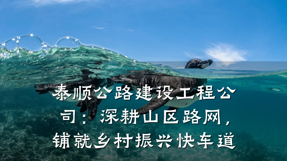 泰顺公路建设工程公司:深耕山区路网,铺就乡村振兴快车道