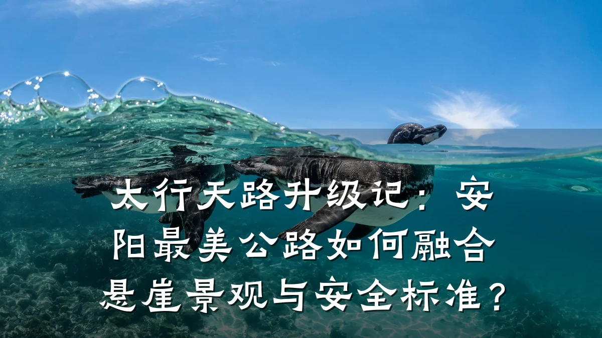 太行天路升级记:安阳最美公路如何融合悬崖景观与安全标准?