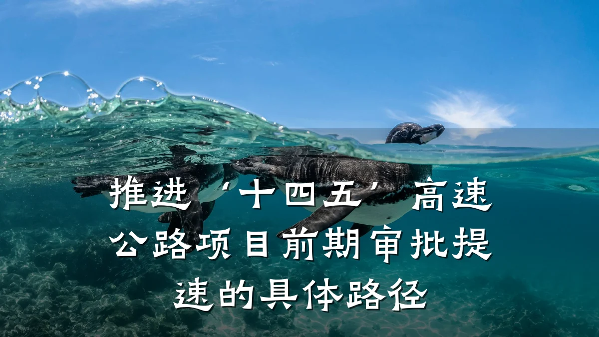 推进‘十四五’高速公路项目前期审批提速的具体路径