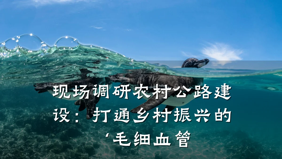 现场调研农村公路建设：打通乡村振兴的‘毛细血管