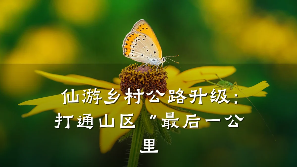 仙游乡村公路升级：打通山区“最后一公里