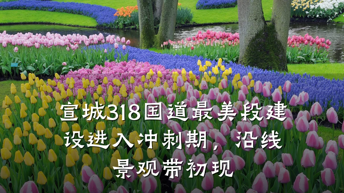 宣城318国道最美段建设进入冲刺期,沿线景观带初现