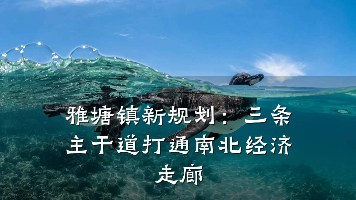 雅塘镇新规划:三条主干道打通南北经济走廊