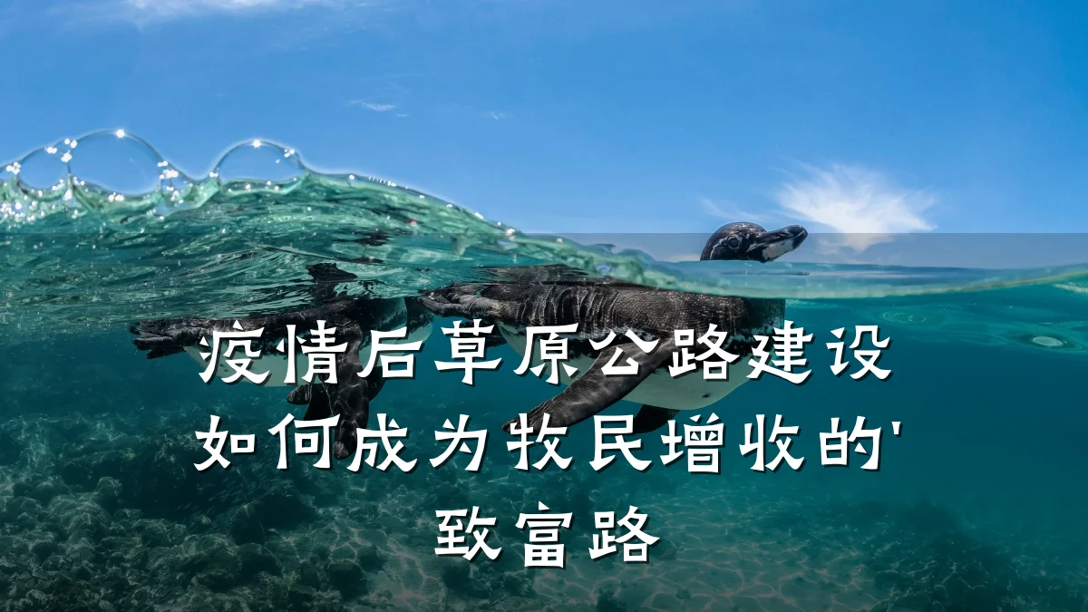 疫情后草原公路建设如何成为牧民增收的'致富路