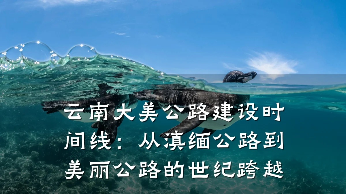 云南大美公路建设时间线：从滇缅公路到美丽公路的世纪跨越